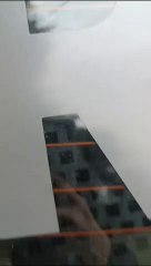 PM localiza depósito com 1.750 quilos de maconha na zona rural de Francisco Alves