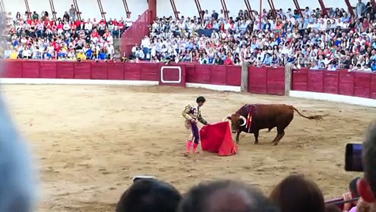 Que viva Ledesma !