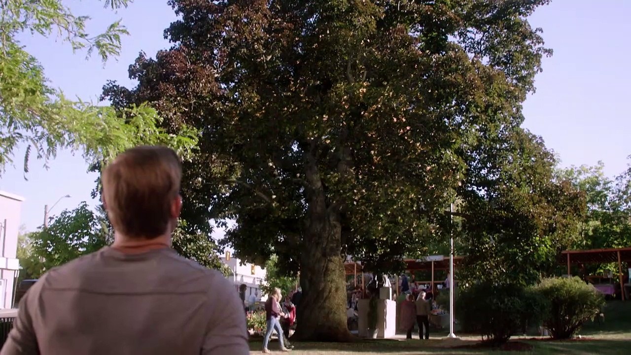 Les Racines de l'amour Bande-annonce (EN)