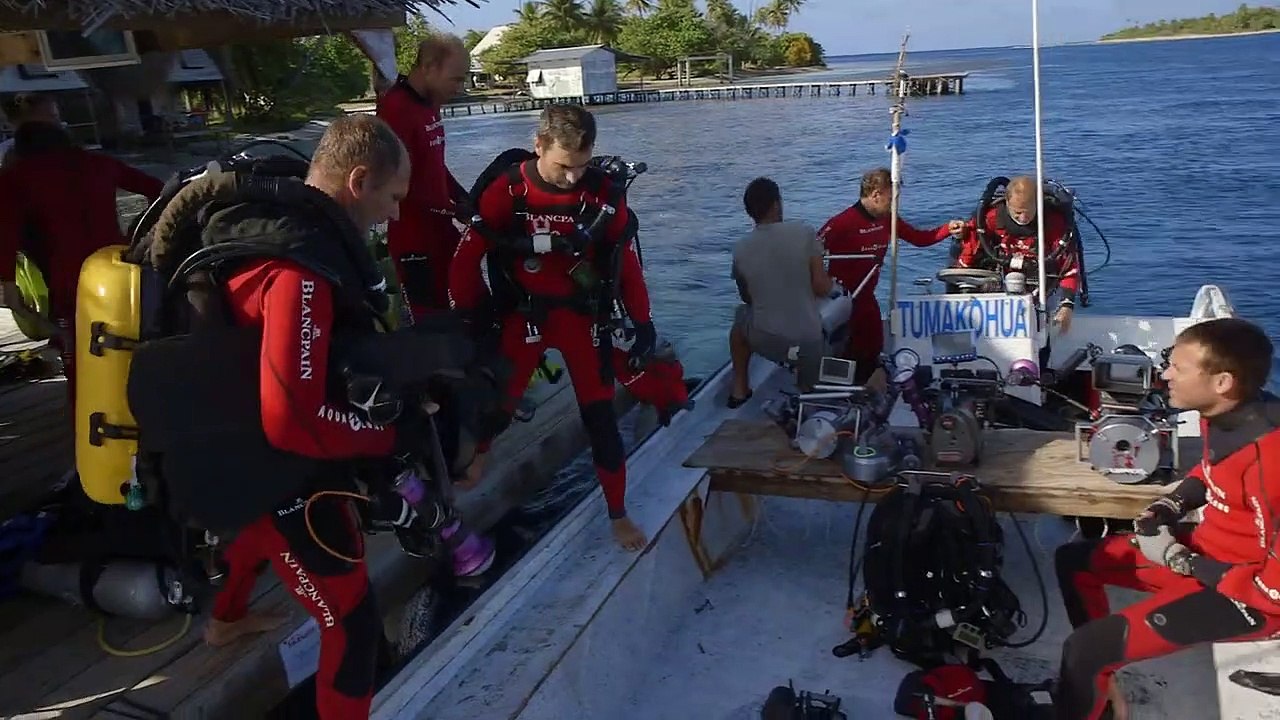 700 requins dans la nuit Bande-annonce (FR)