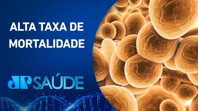Candida auris: Superfungo representa grave ameaça à saúde pública | JP SAÚDE
