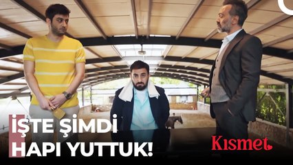 Sen Şimdi Naneyi Yemedin Mi Doğan - Kısmet 1. Bölüm (SON SAHNE)