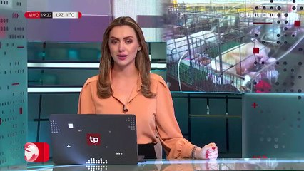 Mairana: Frío afecta producción de cerdos y porcinocultores hablan de muertes de lechones