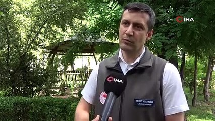 Kurbanlık alacaklar dikkat: “Hayvanlarda fiziki kusur olmaması gerek”