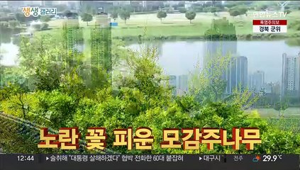 [생생갤러리] 올해 최고의 '몸짱 소방관'은 누구? 外