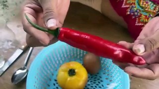 Growing Peppers with Tomatoes For garden​ at home using The weirdest technique