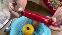 Growing Peppers with Tomatoes For garden​ at home using The weirdest technique