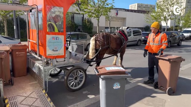 JT DES TERRITOIRES - 17/06/23 - SÉCURITÉ - DÉCHETS - BIOGRAPHIE - LOISIRS