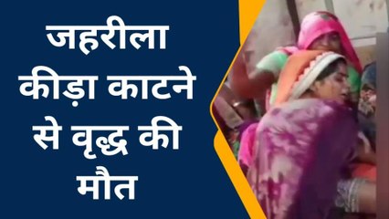 बांदा: जहरीला कीड़े के डंक से वृद्ध की मौत, परिजनों में मचा कोहराम