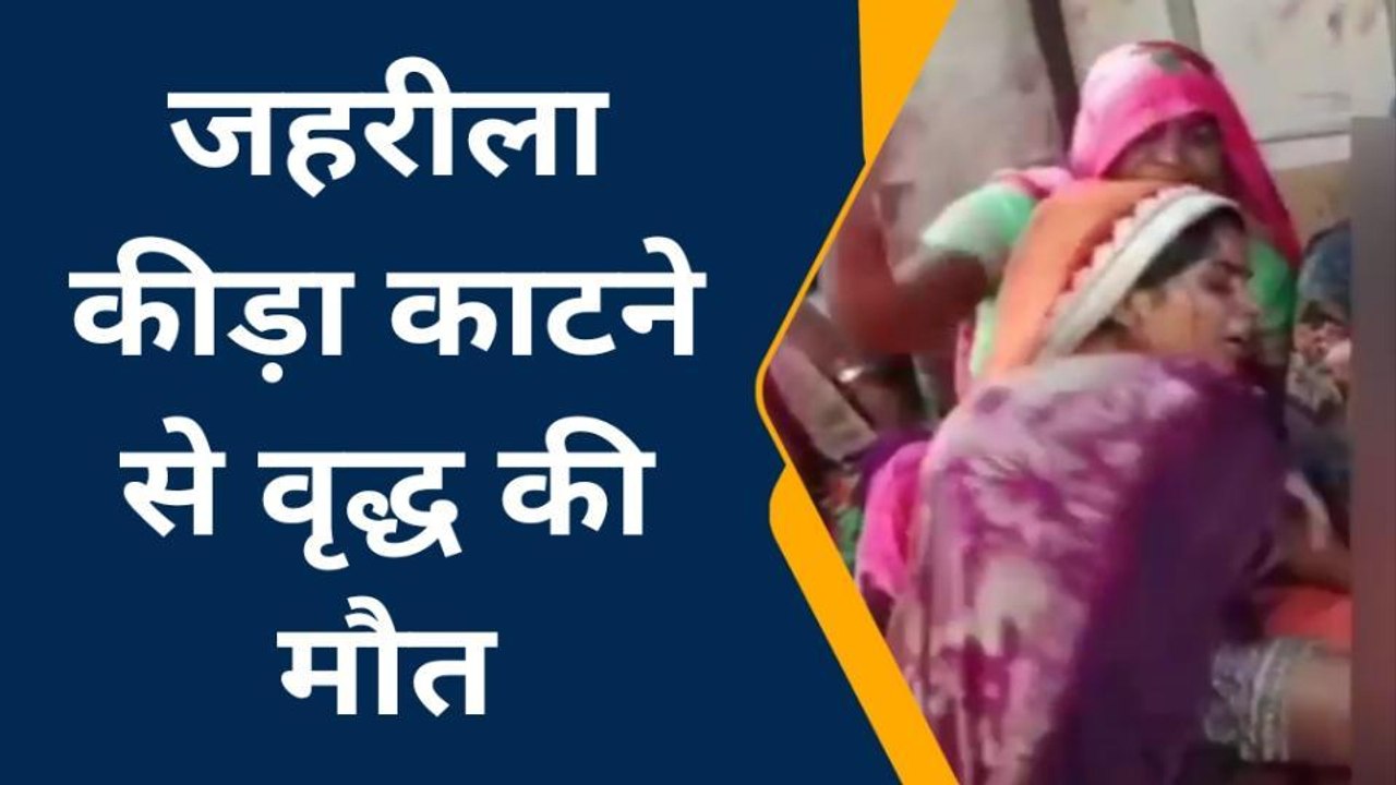 बांदा: जहरीला कीड़े के डंक से वृद्ध की मौत, परिजनों में मचा कोहराम