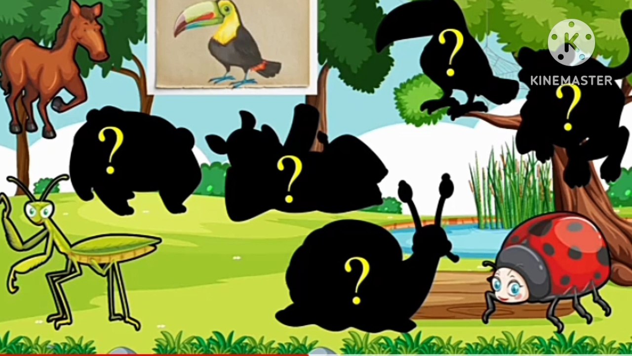 Kids animals video