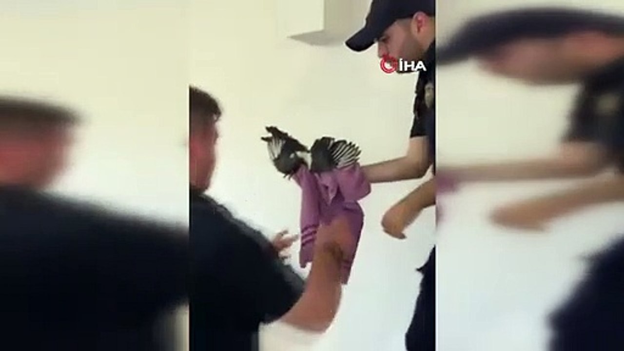 Havalandırma boşluğuna sıkışan saksağan itfaiye ekipleri tarafından kurtarıldı