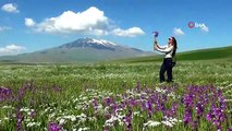 Bahar çiçekleriyle renklenen Sütey Yaylası ve Süphan Dağı hayranlık uyandırıyor