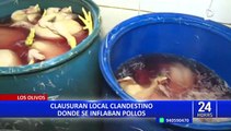 Los Olivos: clausuran local clandestino donde se 'inflaban' pollos