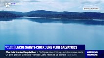 Var: le lac de Sainte-Croix retrouve son niveau d'antan grâce aux pluies