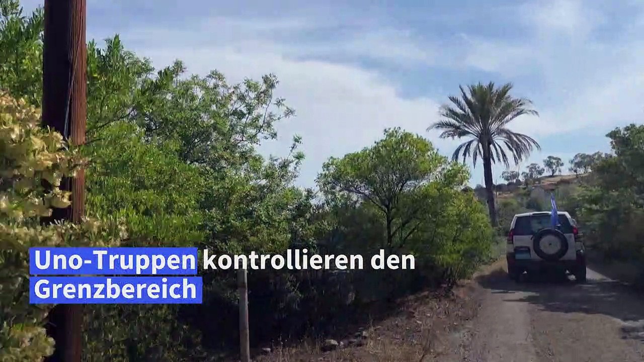 Eulen gedeihen prächtig in Pufferzone auf Zypern