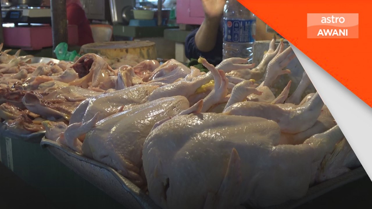 Harga ayam segar di Lahad Datu cecah RM16 sekilogram