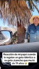 "Lo amo": Hombre se emociona hasta las lágrimas al recibir un gato idéntico al suyo