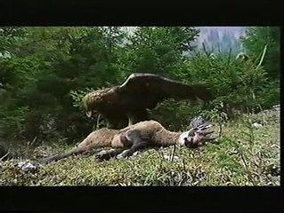Gli uomini della Preistoria - 5) Oetzi, l'uomo della Preistoria