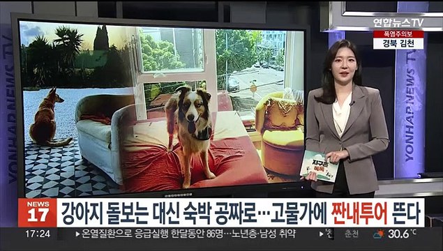 [헤이!월드] 주류가게서 술 훔쳐 도망가려다…머쓱해진 도둑 外