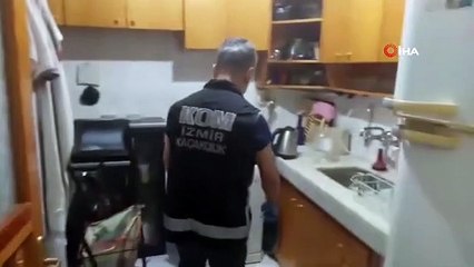 Artefact historique trouvé dans un lave-vaisselle