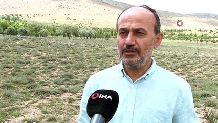 Prof. Dr. Fetullah Arık: "Yer yarıkları uzun yıllar devam eden kuraklık, aşırı yer altı su kaynakları kullanımının bir neticesi"