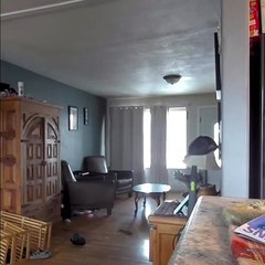 Security Cameras Capture Husky's Shenanigans