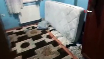 İstanbul'da 'şok evlerine' yönelik operasyonda 40 düzensiz göçmen yakalandı