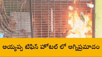 మంగళగిరి: గ్యాస్ లీక్...హోటల్ లో అగ్నిప్రమాదం