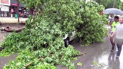 Descargar video: Aydın'da Sağanak Yağış Yolları Göle Çevirdi