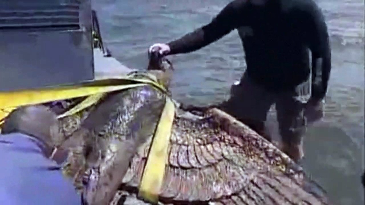 Uruguay will NS-Adler in Friedenstaube verwandeln