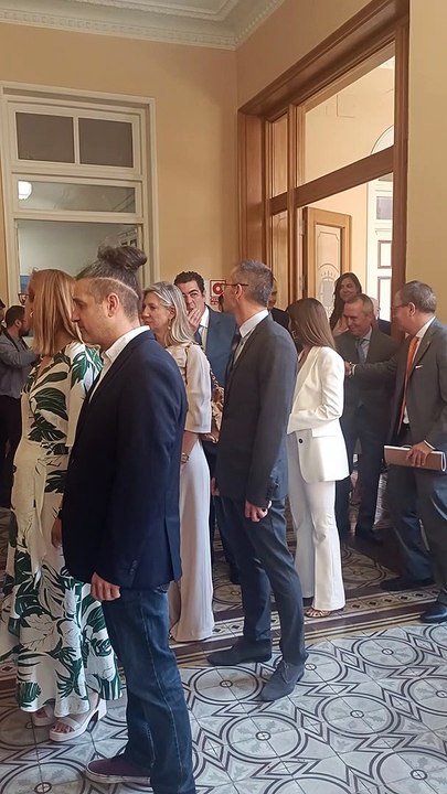Pleno de constitución