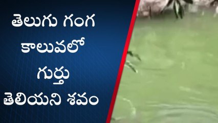 తిరుపతి జిల్లా: తెలుగు గంగ కాలువలో మృతదేహం కలకలం