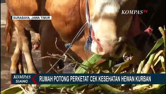 Jelang Hari Raya Idul Adha, Rumah Potong Perketat Cek Kesehatan Hewan Kurban Cegah PMK dan LSD