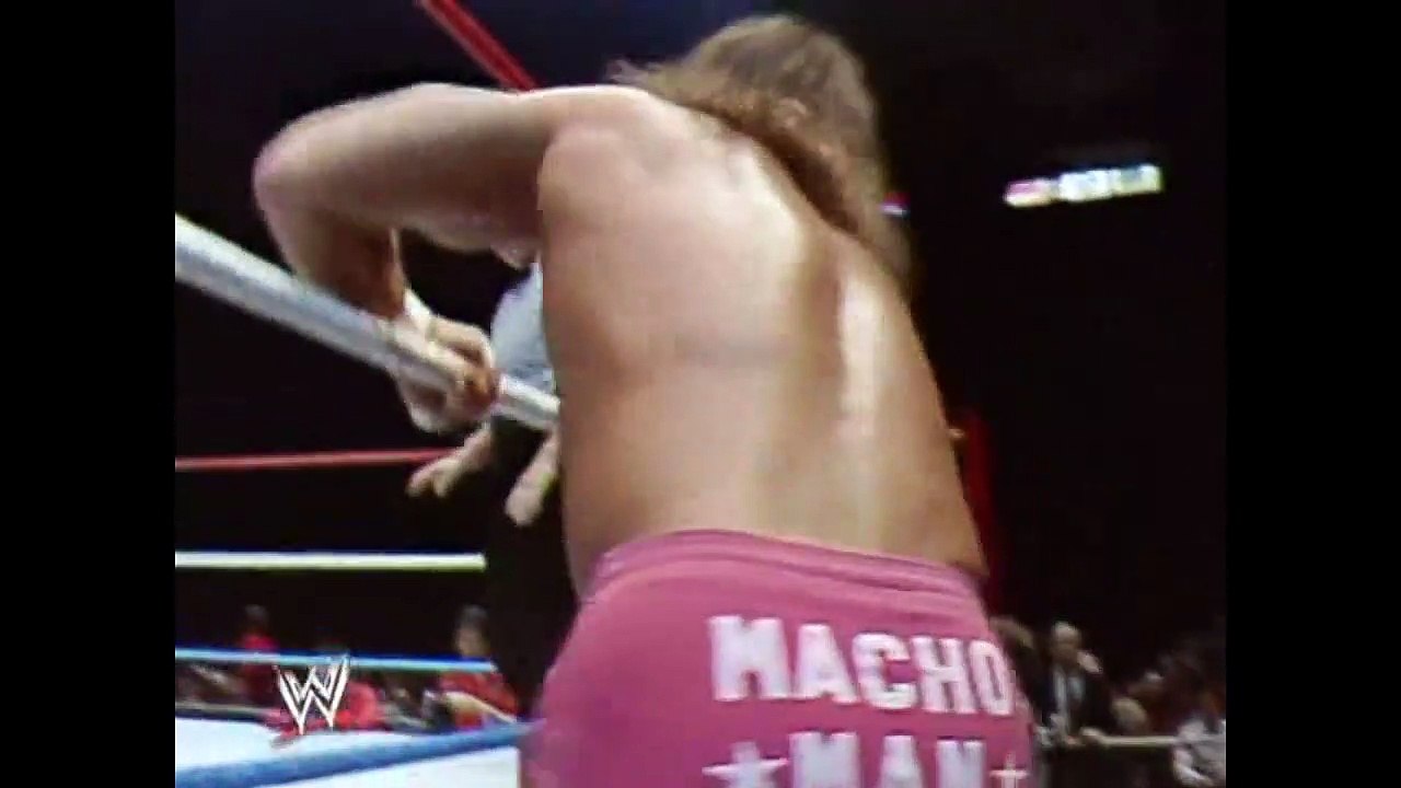 Hulk Hogan vs. Randy Savage-December 30, 1985