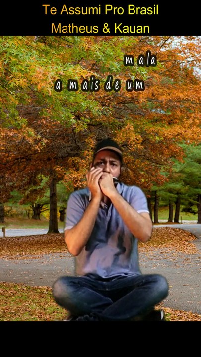 Te Assumi Pro Brasil - Matheus & Kauan | Harmonica short cover #brasil #portuguese #coversong #dailymotion  | https://www.youtube.com/watch?v=9mcAV6-HGEY