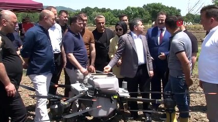 Osmanlı saray mutfağının pirinci tarlaya dron ile ekildi