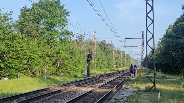 Connaissez-vous l’arrêt fantôme (et secret) en plein cœur de la forêt de Fontainebleau ?