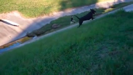 Jonathan Christopher & Anthony on a walk with Uncle Billy & Pawpaw
