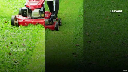 Faut-il encore tondre sa pelouse ?