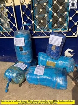 Saisie de 275kg de chanvre indien par la BP de Diogo