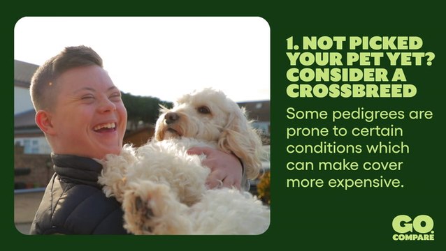 10 Tips On How To Get Cheaper Pet Insurance I The Money Edit