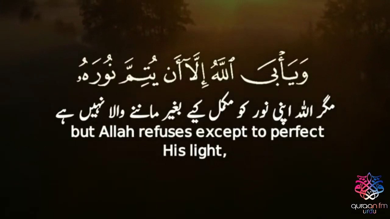 Quran whatsapp status_Quran urdu status_Quran fm status_Quran beautiful reaction (4)