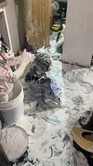 Grandma Finds a Huge Mess in the Kitchen