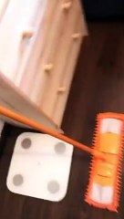 Kitten Plays With Mirror Reflection