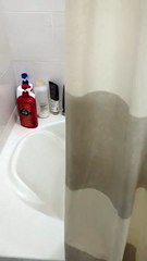 The Shower Is Occupied, Sir