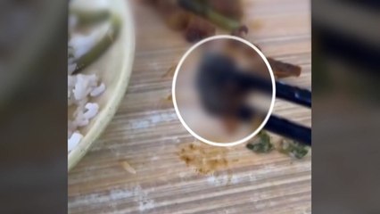 중국 학교 구내식당 이물질 '오리목' 아닌 '쥐머리'로 밝혀져 / YTN