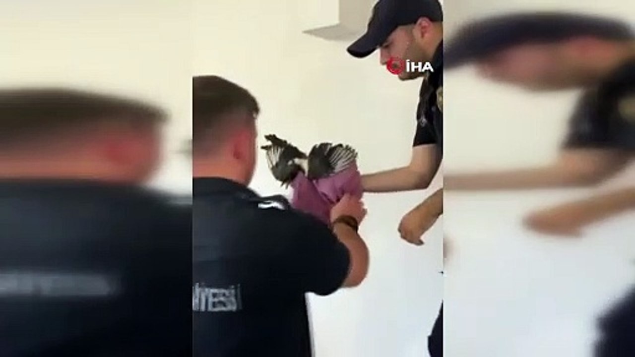 Yaramaz saksağan itfaiye ekiplerini seferber etti
