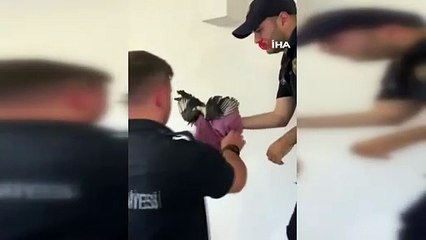 Yaramaz saksağan itfaiye ekiplerini seferber etti