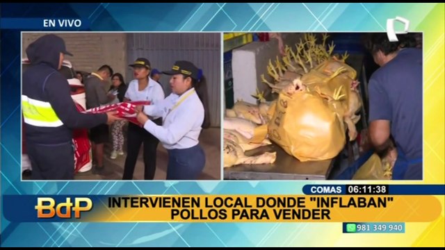 Intervienen 3 locales clandestinos donde almacenaban pollos de manera insalubre en Comas